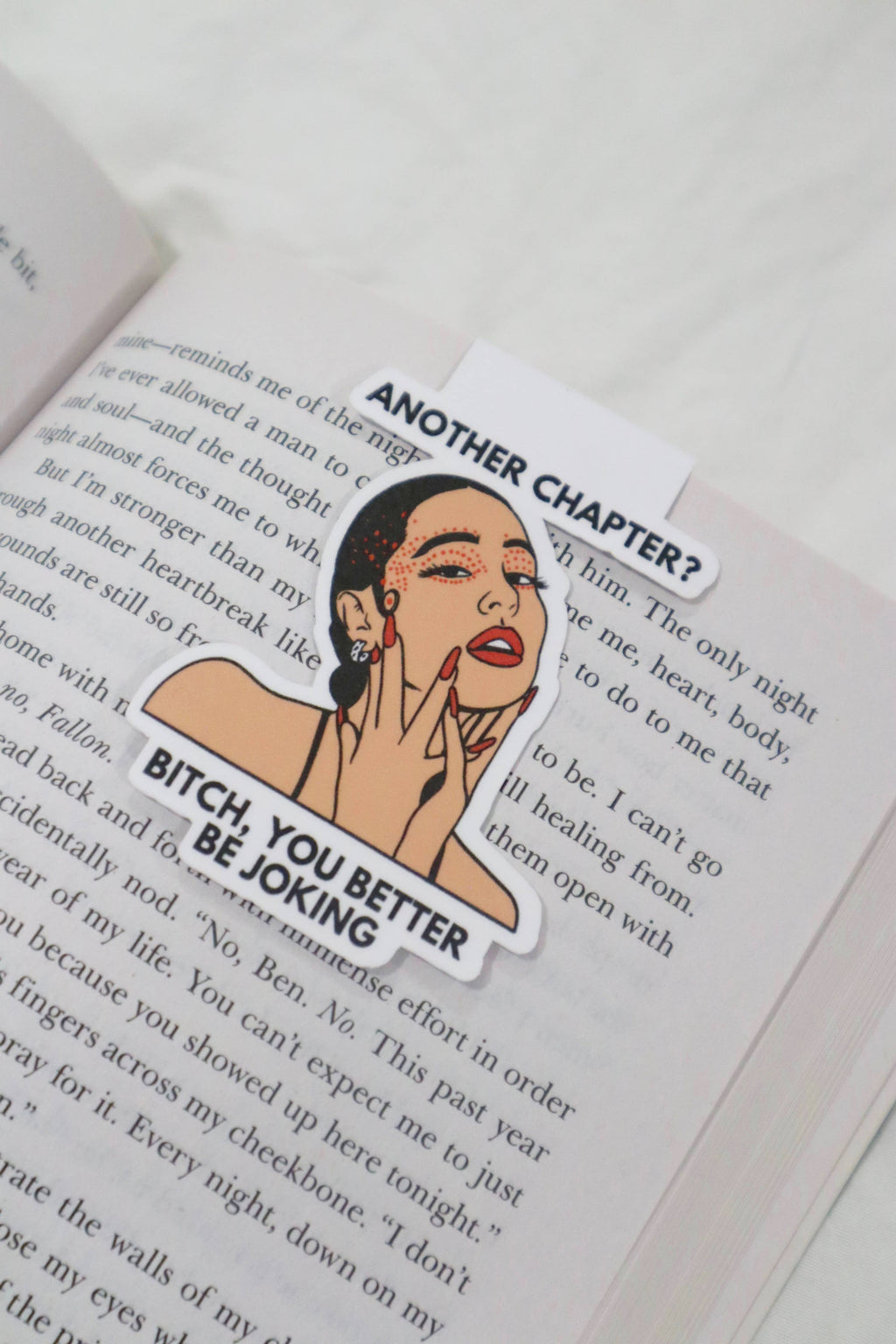 Magnetic Bookmarks: Drake