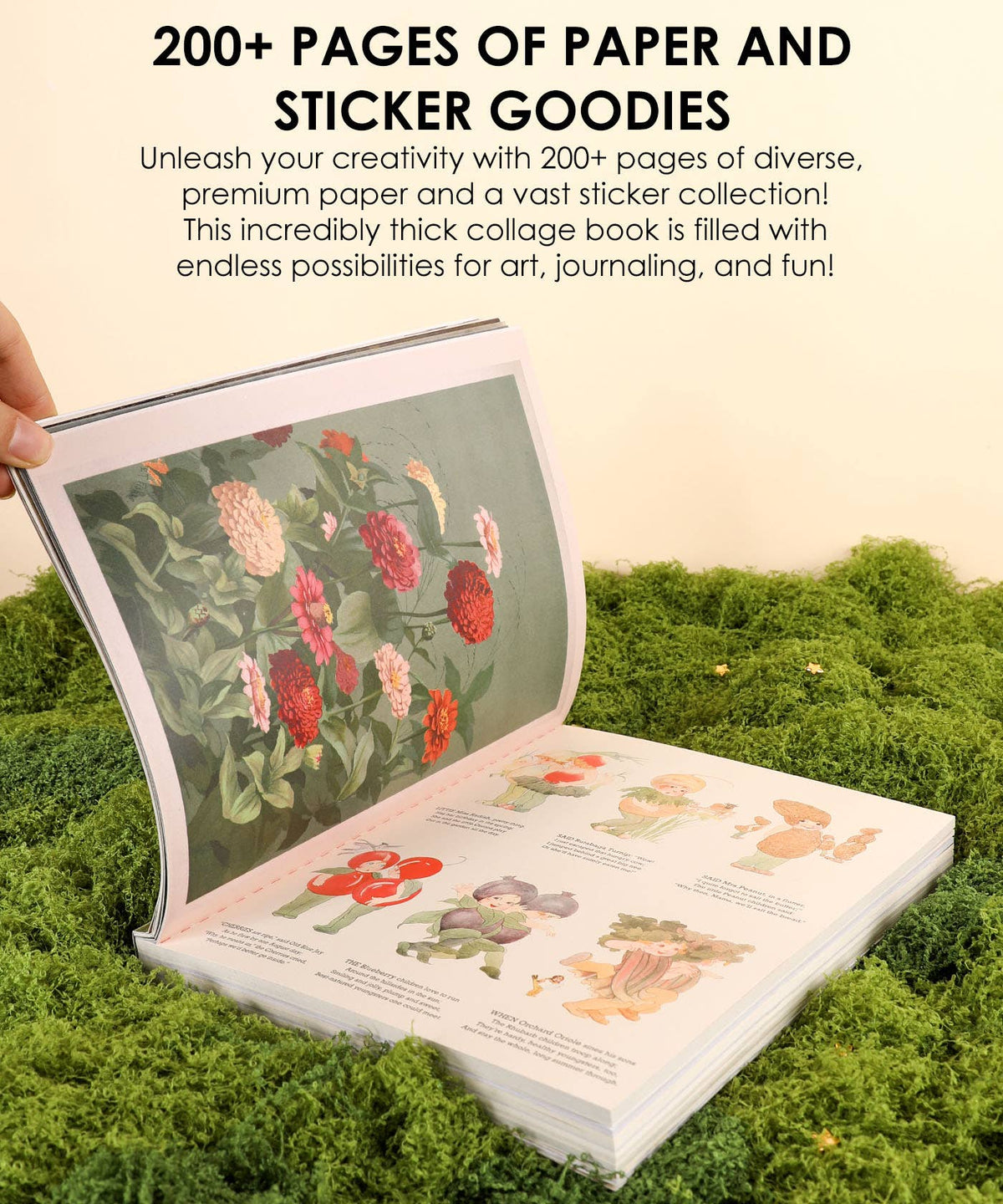 200+ Pages The Botanical Muse Collage Activity Book