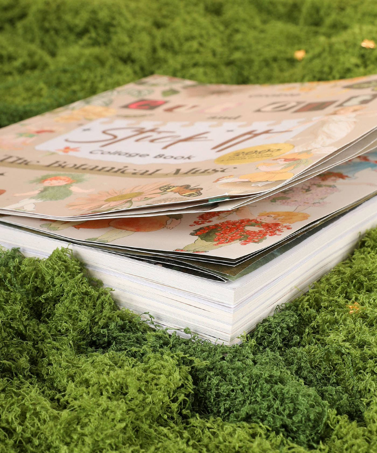 200+ Pages The Botanical Muse Collage Activity Book